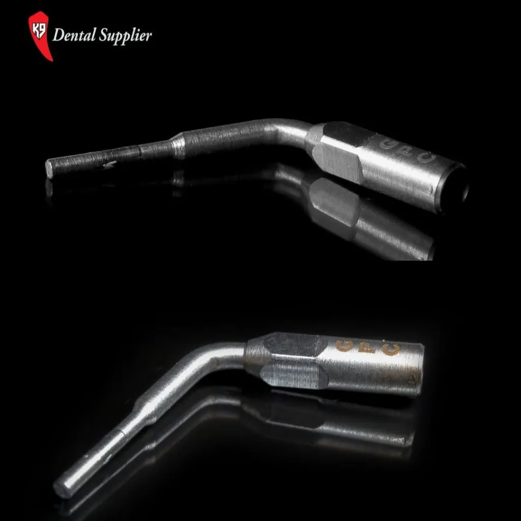 WhatsApp Image 2025-12-24 at 4.06.13 m.webp