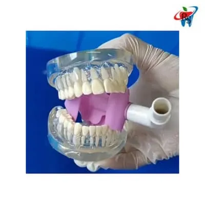 WhatsApp Image 2025-12-26 at 3.37.03 AM.webp