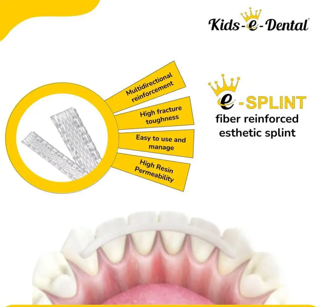 WhatsApp Image 2026-01-02 at 5.19.57 PM.webp