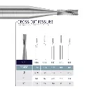 CROSS CUT FISSURE.webp