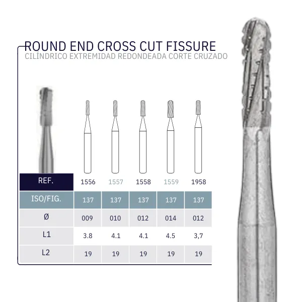 ROUND END CROSS CUT FISSURE.webp