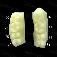 ClassⅡ Dental Composite Resin Filling Practice Caries Decay 5pcs