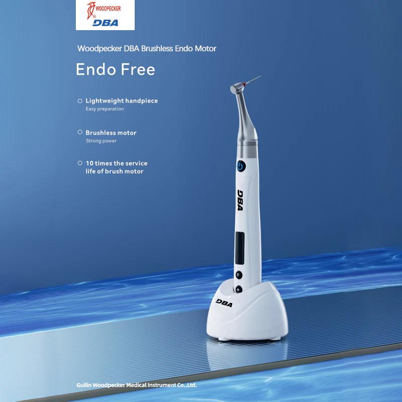 Woodpecker Endofree Endomotor