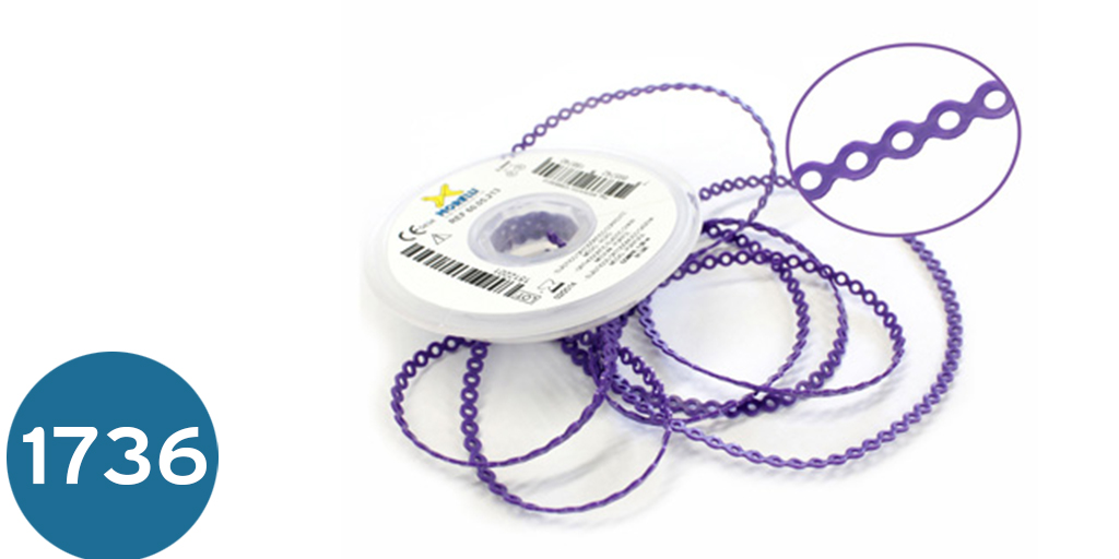 باورتشن مورلي  Elastic Chain