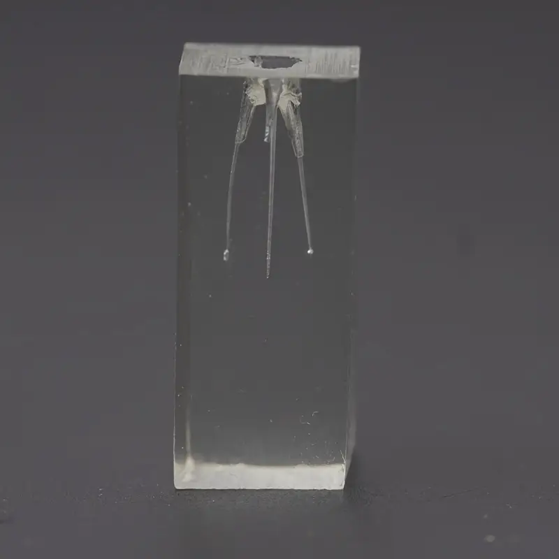 dental endodontic practice model موديل (بلوكات اندو )