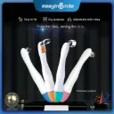 Easyinsmile Matrix-Profect dental matrix bands