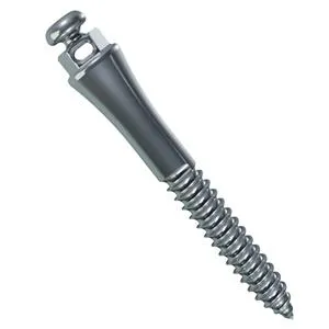 Extraradicular Orthodontic Mini Screw made of Steel, .021 x .025" hole (Length: 10mm, Transmission: 6mm, Ø2mm)