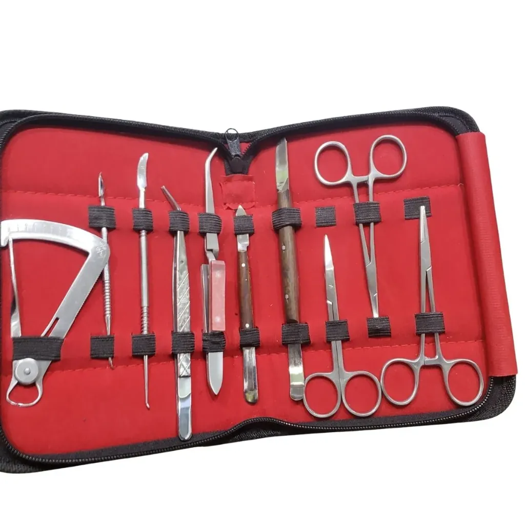 [3180000INSCS10] Carving Set Instrument 10psc